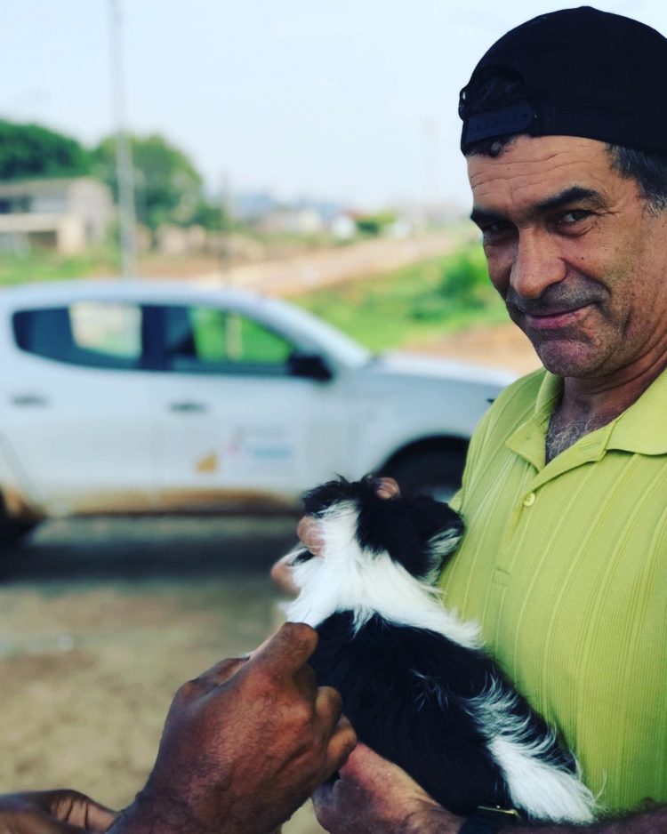 Campanha de Vacinação Antirrábica para cães e gatos.
