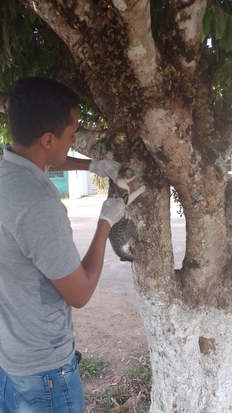 Campanha de Vacinação Antirrábica para cães e gatos.