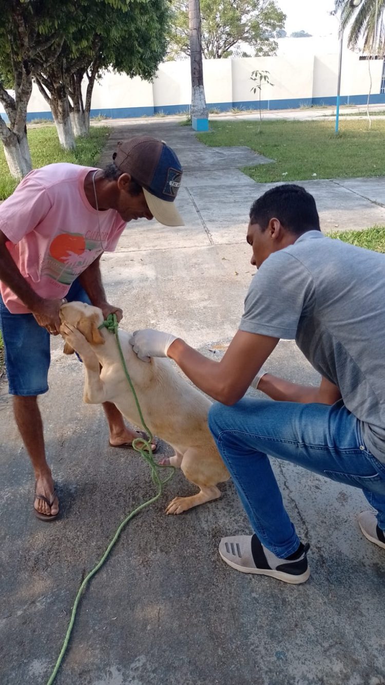 Campanha de Vacinação Antirrábica para cães e gatos.