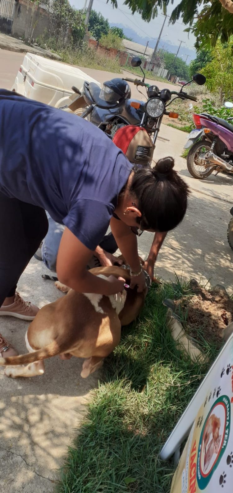Campanha de Vacinação Antirrábica para cães e gatos.