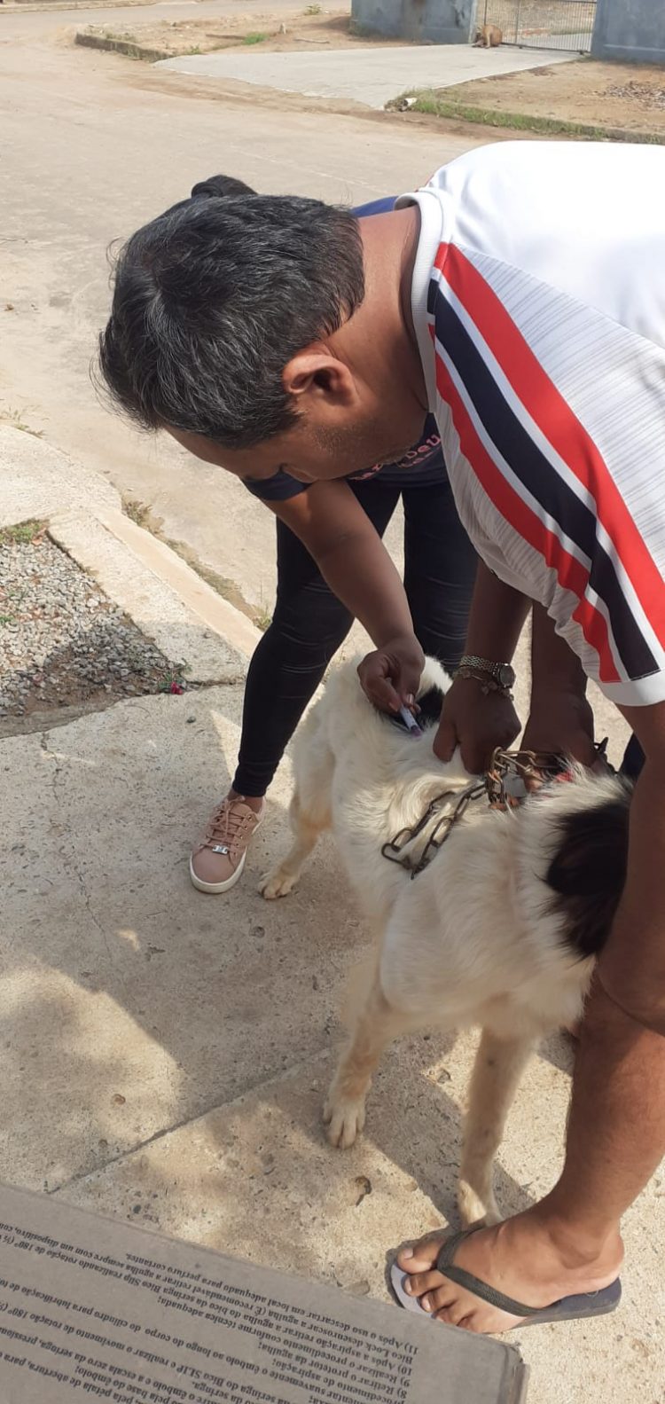 Campanha de Vacinação Antirrábica para cães e gatos.