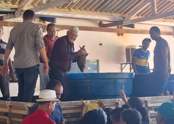 Prefeitura de Cacaulândia entrega 2.000 quilos de peixe à população