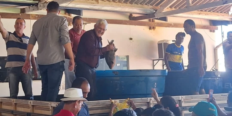 Prefeitura de Cacaulândia entrega 2.000 quilos de peixe à população