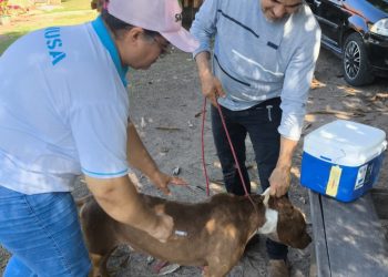 Vacinação antirrábica percorre zona rural de Cacaulândia e reforça proteção de cães, gatos e da população