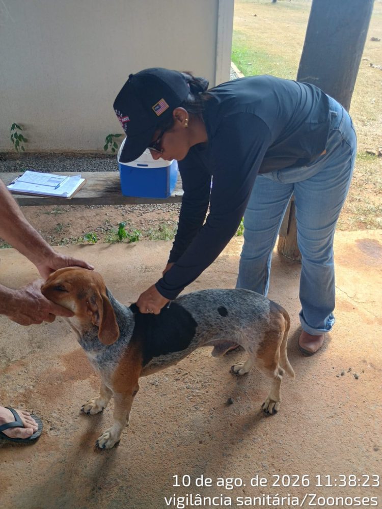 Vacinação antirrábica percorre zona rural de Cacaulândia e reforça proteção de cães, gatos e da população