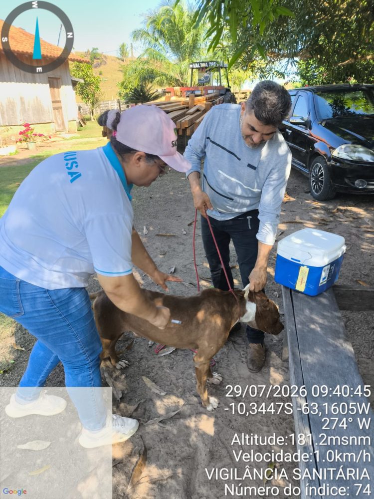 Vacinação antirrábica percorre zona rural de Cacaulândia e reforça proteção de cães, gatos e da população